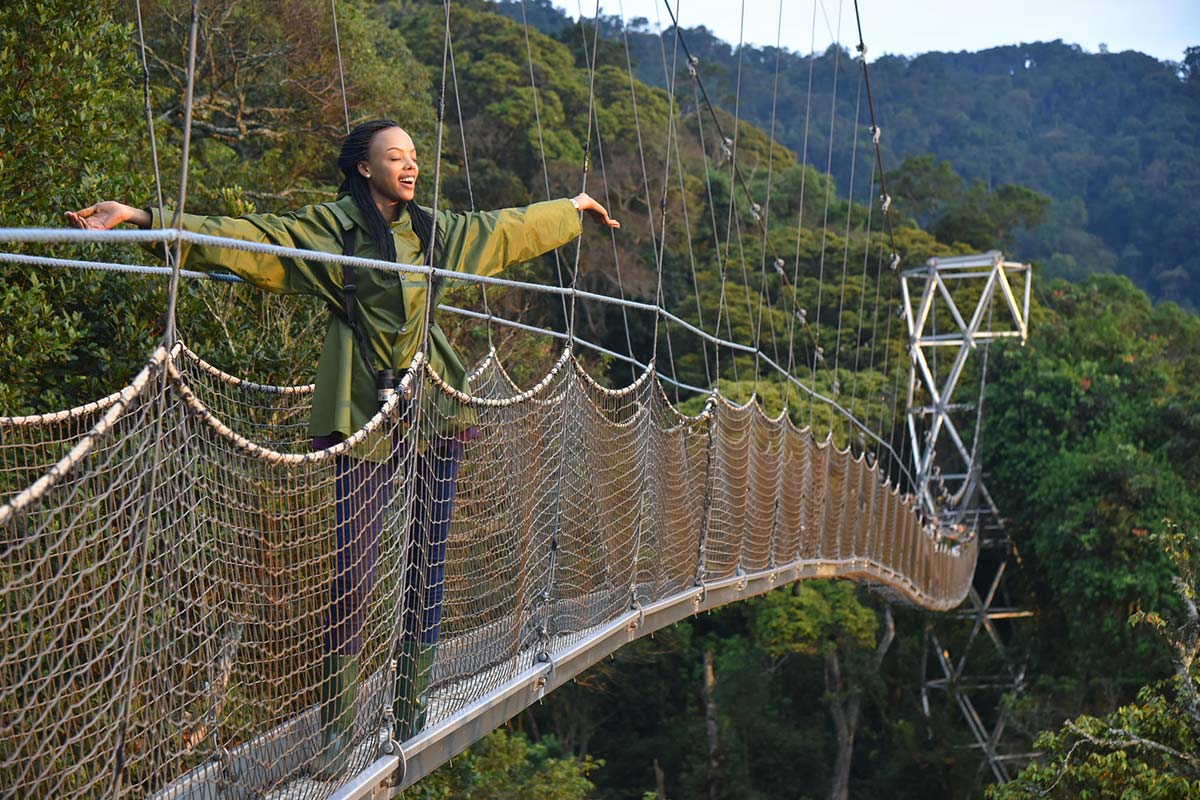 Canopy Walkway Adventure