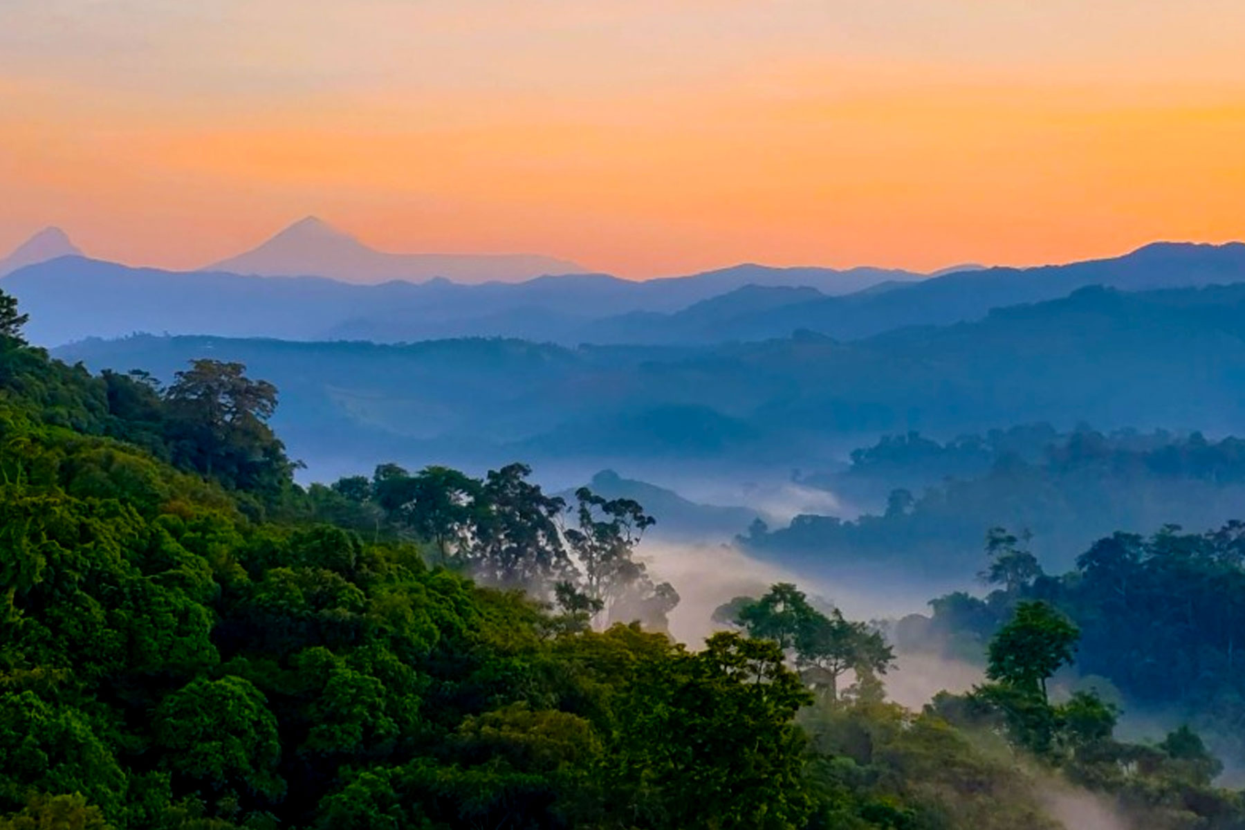 Gishwati-Mukura National Park